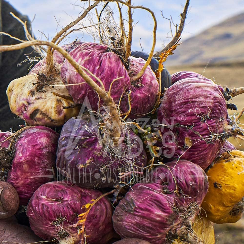 Aguaje with Red Maca Powder - 120 Pills - 1000mg Serving - Rich Phytostrogens Source - 100% Natural - Non GMO - Vegan - Wild Harvested in Peru — image 5